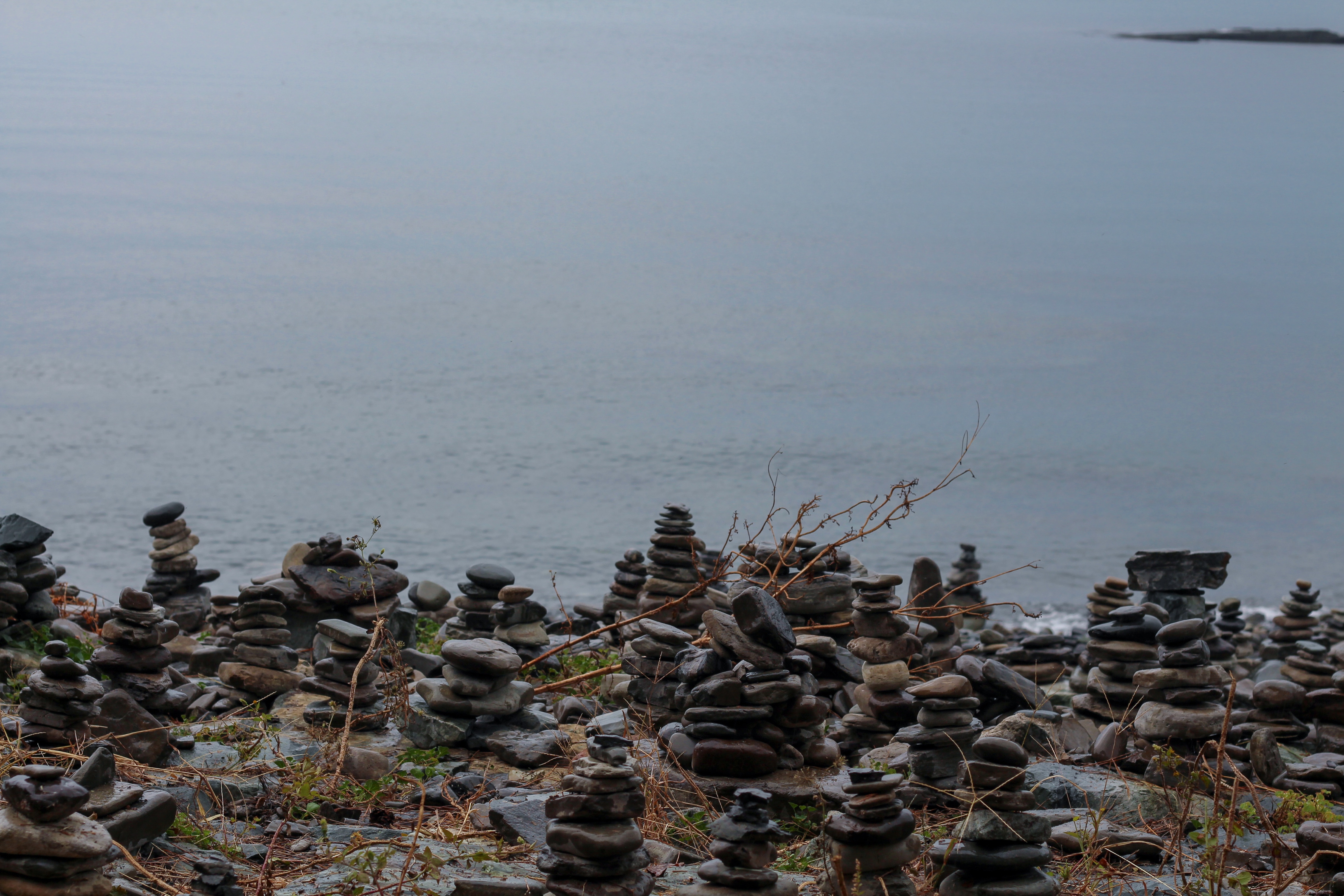 상족암군립공원